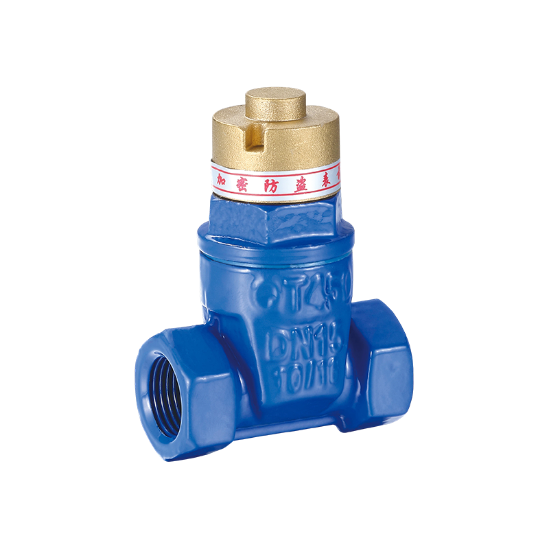 YH-1002 Magnetic Anti-Theft Nodular Cast Iron Sealing Gate Valve